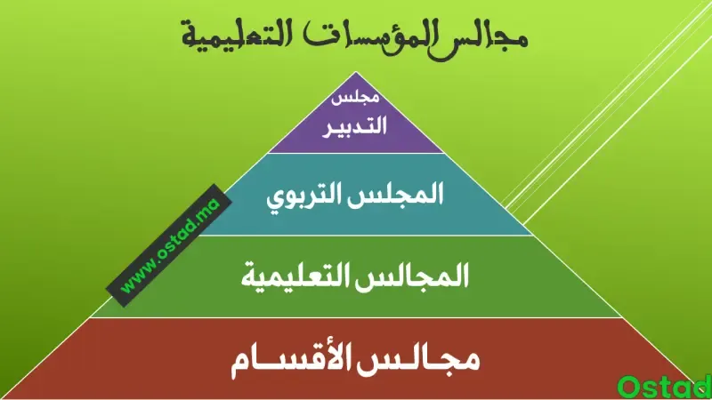 مجالس المؤسسات التعليمية